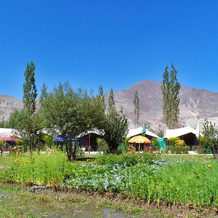 Hotel Tiger Camp Nubra Zewnętrze zdjęcie