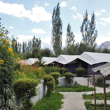 Hotel Tiger Camp Nubra Zewnętrze zdjęcie