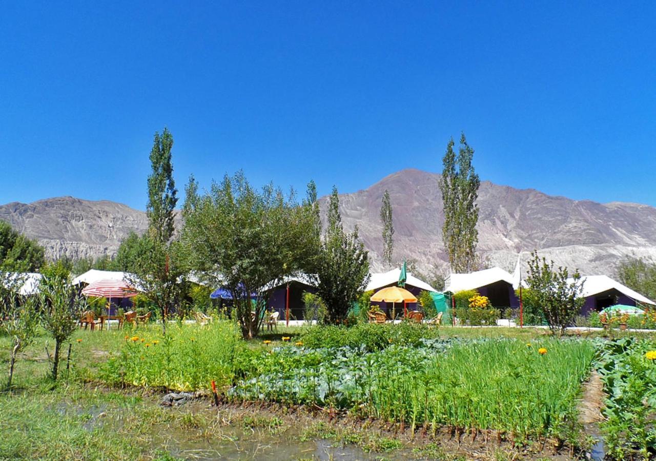 Hotel Tiger Camp Nubra Zewnętrze zdjęcie