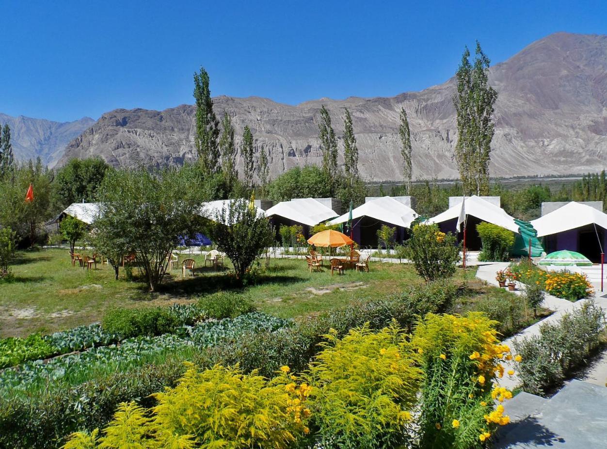 Hotel Tiger Camp Nubra Zewnętrze zdjęcie