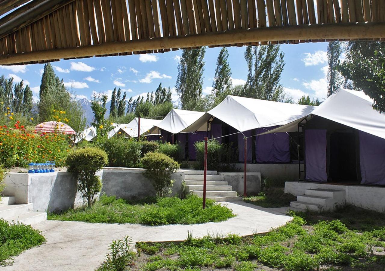 Hotel Tiger Camp Nubra Zewnętrze zdjęcie