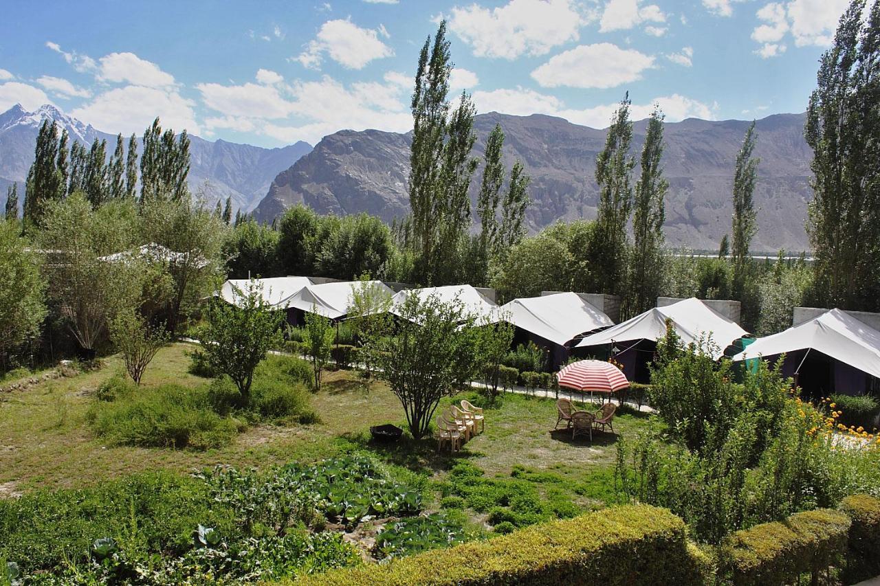 Hotel Tiger Camp Nubra Zewnętrze zdjęcie