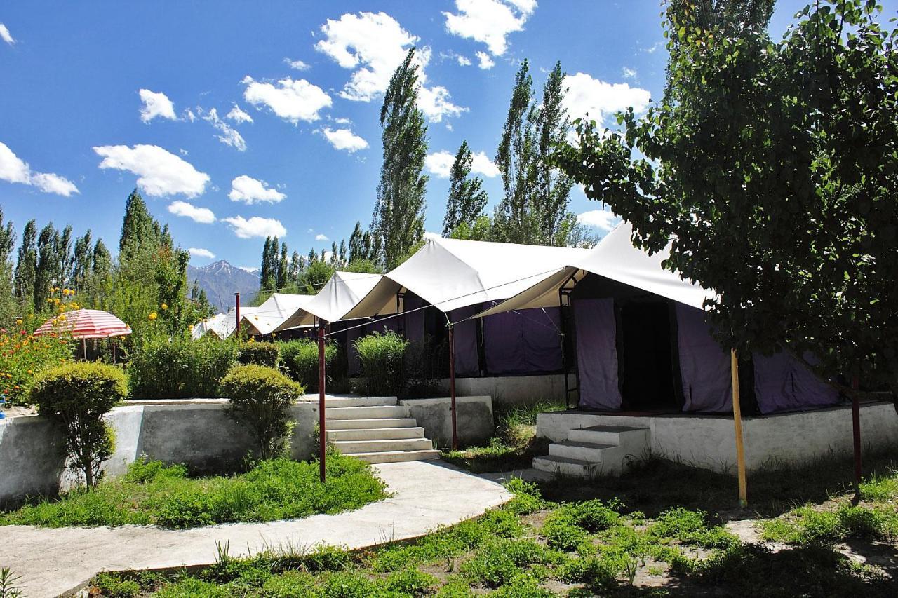 Hotel Tiger Camp Nubra Zewnętrze zdjęcie